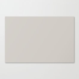 Pale Soft Gray - Grey Solid Color Pairs PPG Cool Slate PPG1002-3 - All One Single Shade Hue Colour Canvas Print