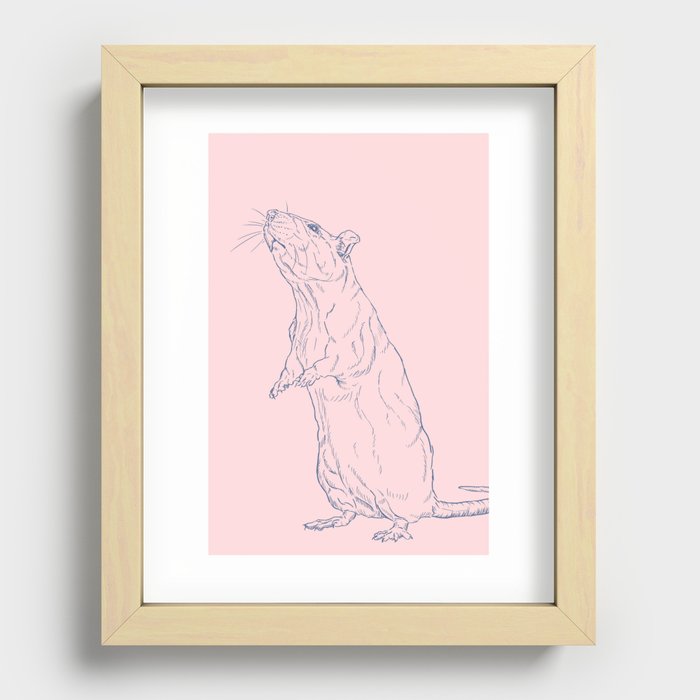 Pink Rat Recessed Framed Print