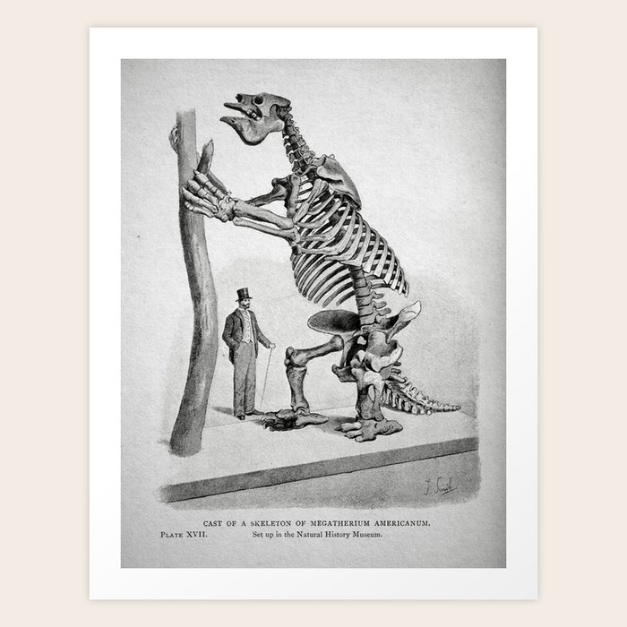 Vintage Dinosaur Poster 1896 Megatherium Americanum Art Print By Classicalart Society6