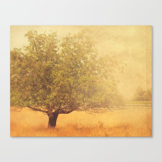 tree photograph. Solitude. Canvas Print