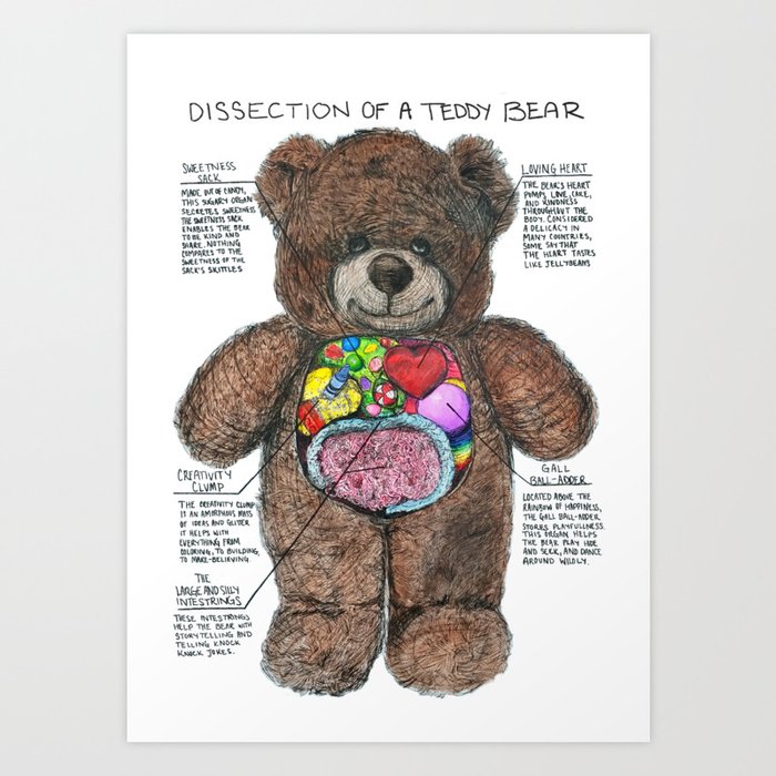Dissection Of A Teddy Bear Art Print By Chaanchan