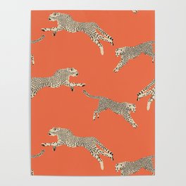 Leaping Cheetahs Tangerine Poster