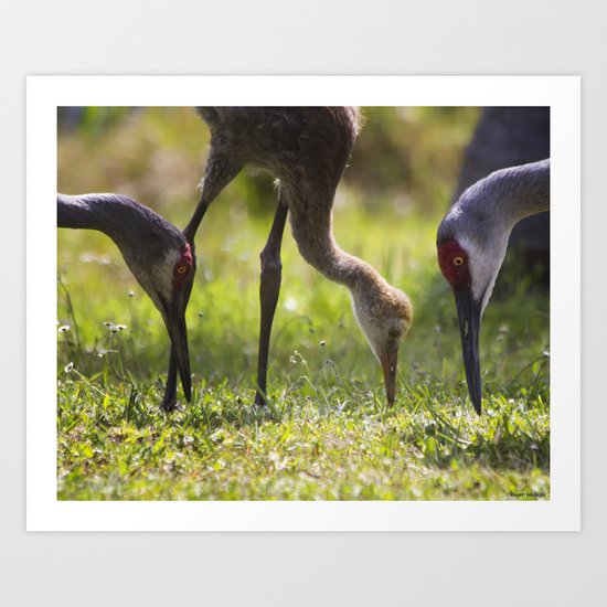 Family Feast Art Print