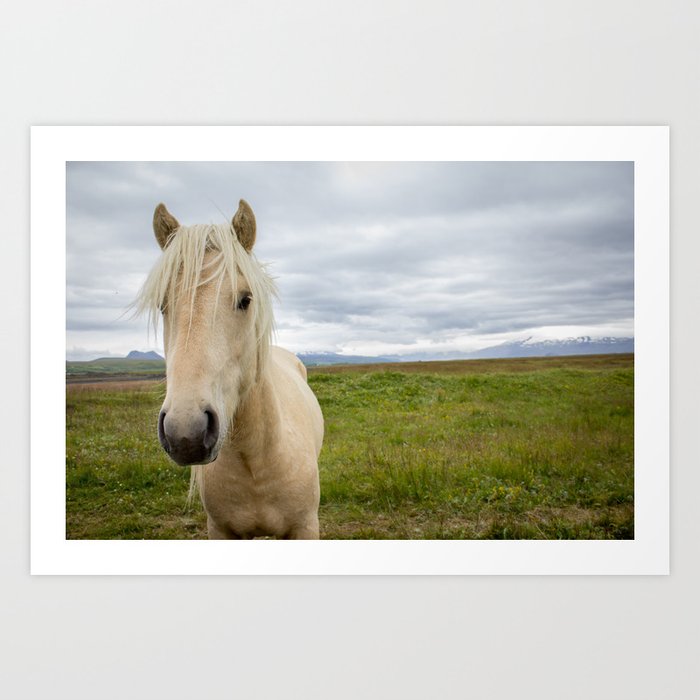 Icelandic Horses II Art Print