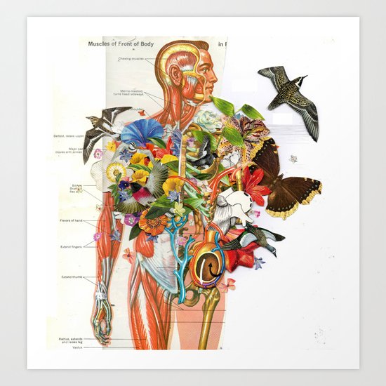 Muscles Art Print