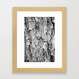 Pinewood Bark Framed Art Print