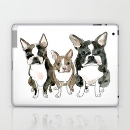Boston Terrier Siblings: Water Color Illustration Laptop & iPad Skin