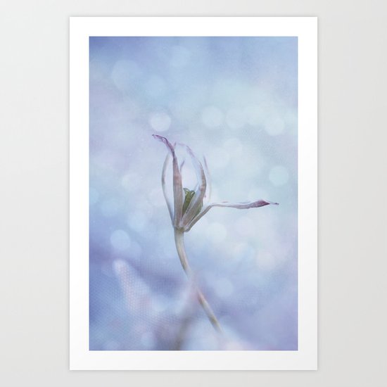 lightroom Art Print
