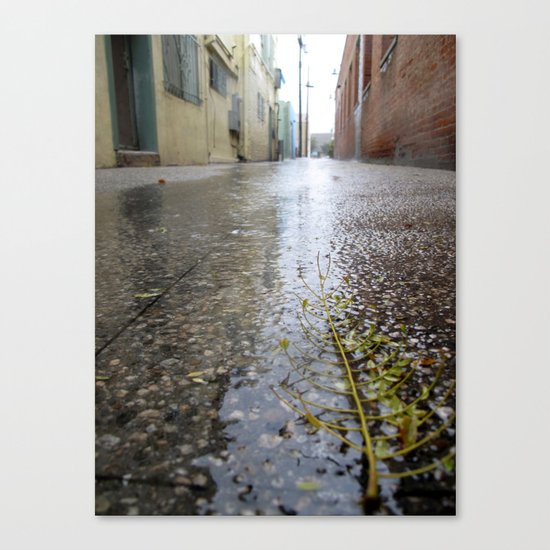 Rain leaf Canvas Print
