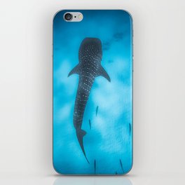 whale shark sand Botton iPhone Skin