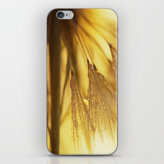 Dandelion Light iPhone & iPod Skin