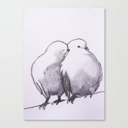 love birds Canvas Print