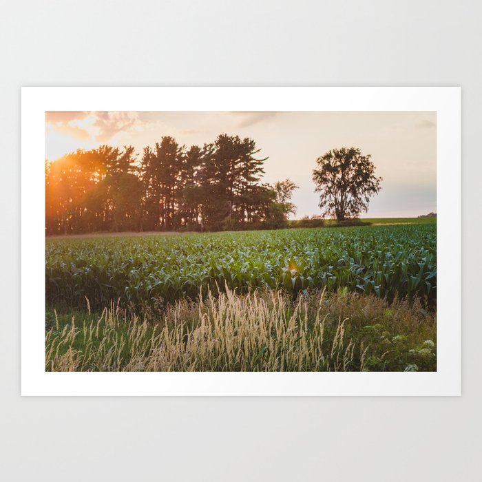 Sunsets and Corn Fields Art Print