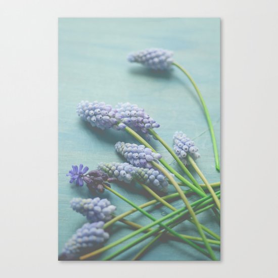 Blue Flowers Canvas Print