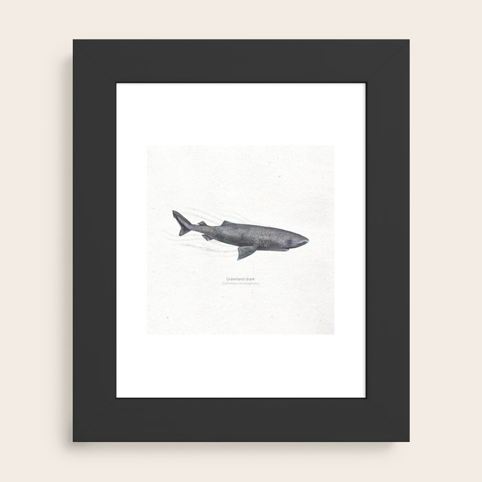Framed Art Print