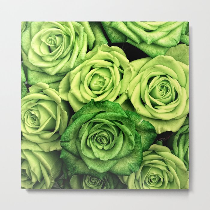 Green Roses Metal Print