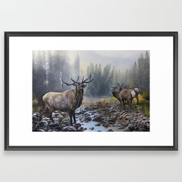 They Gather up  Framed Art Print