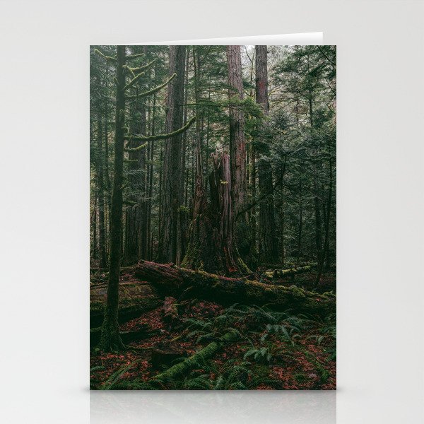 Cathedral Grove Print II | Vancouver Island, BC | Landscape Photography Stationery Cards