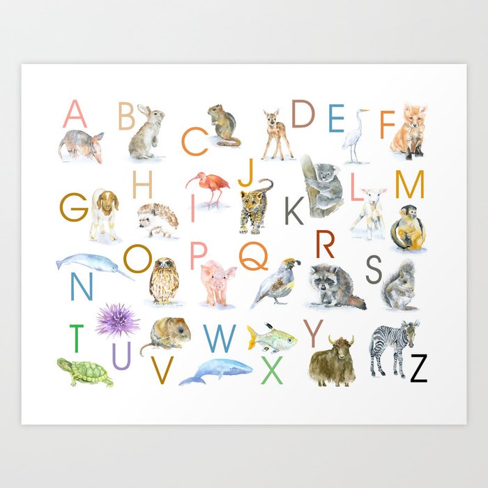 Animal Alphabet ABCs Poster Art Print