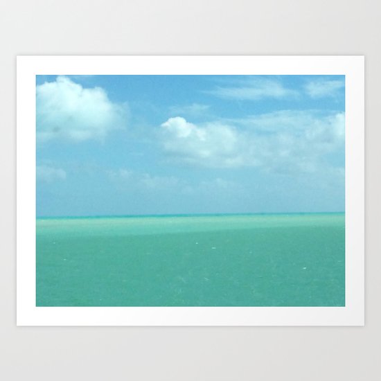 The Beauty of Florida Art Print