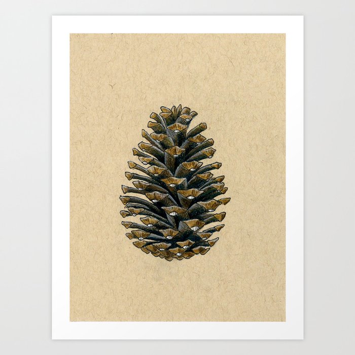 Pine Cone - Inktober 2019 #30 Art Print