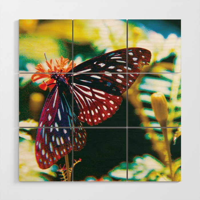 Exotic Black Spotted Butterfly Wood Wall Art