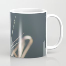 Dry Plants Coffee Mug
