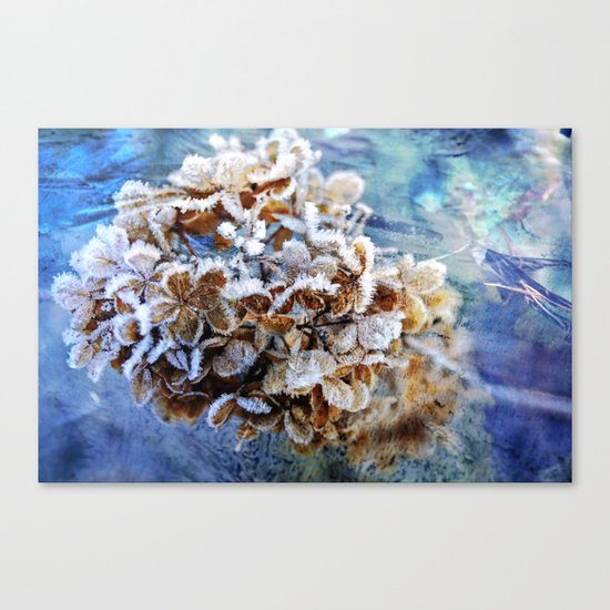 Frozen Poetry Canvas Print