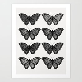 Monarch Butterfly - Black and White Art Print