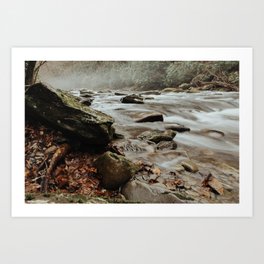 Great Smoky Mountains National Park - Little River Art Print