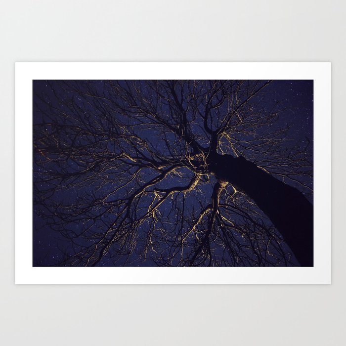 Tree at Night Art Print