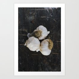 Garlic cloves Art Print