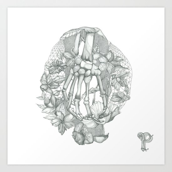 P O P P Y Art Print