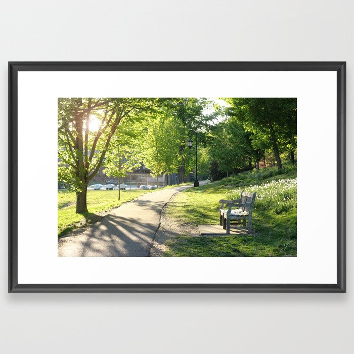 Afternoon Stroll Framed Art Print