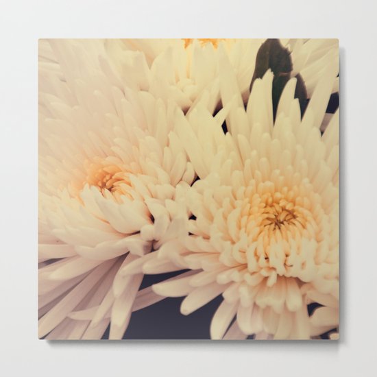Gorgeous white dahlia Metal Print