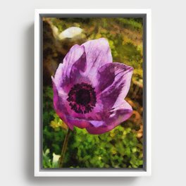 Gorgeous Anemone Coronaria Wildflower Painting Framed Canvas