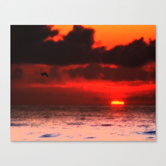 Pelican at Sunrise Canvas Print