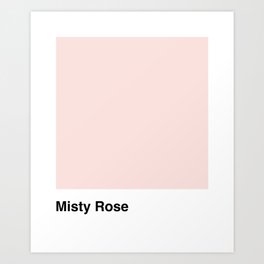 Misty Rose Art Print