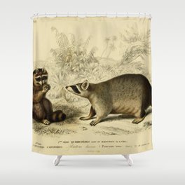 Naturalist Raccoons Shower Curtain