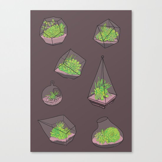 Terrariums Canvas Print