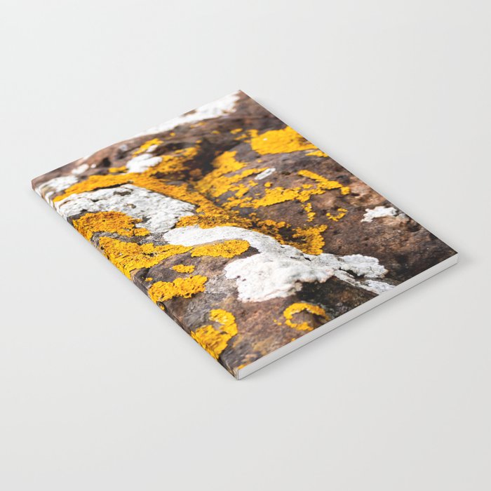 I Lichen that Boulder Notebook