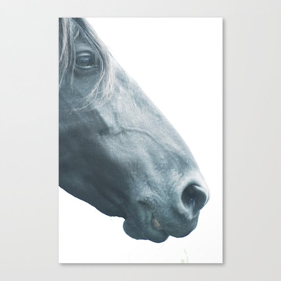 Horse head - fine art print n° 2 Canvas Print