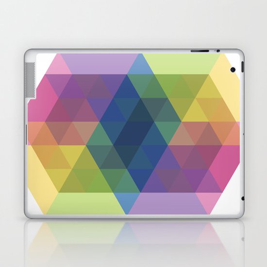 Fig. 030 Laptop & iPad Skin