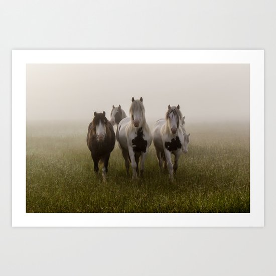 Curiosity II Art Print