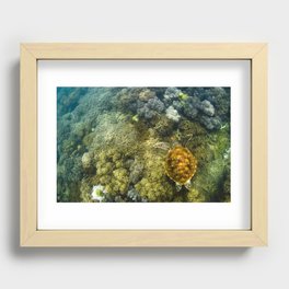 Turtle reef launch Recessed Framed Print