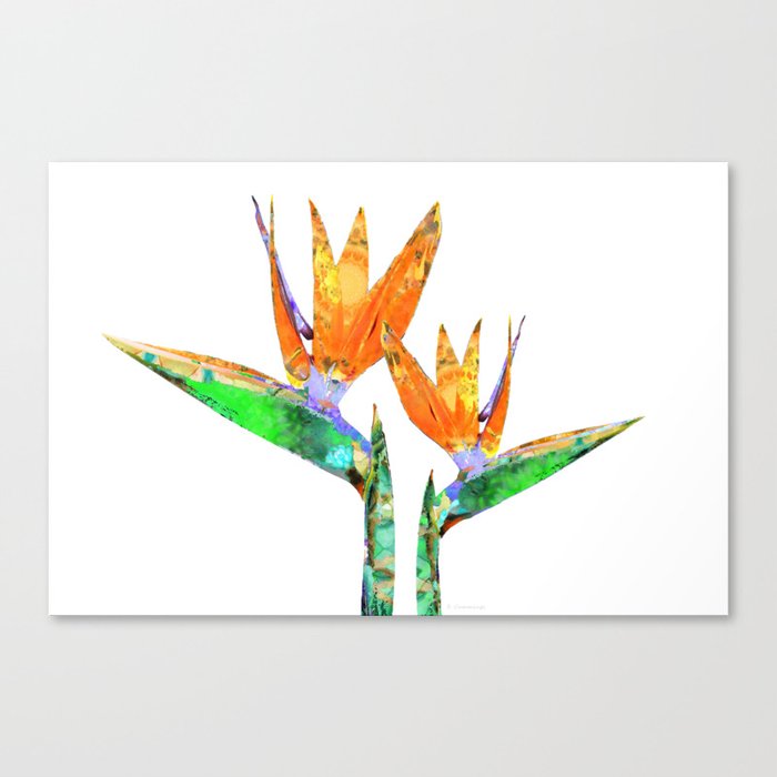 Two Birds - Bird of Paradise Floral Art Canvas Print