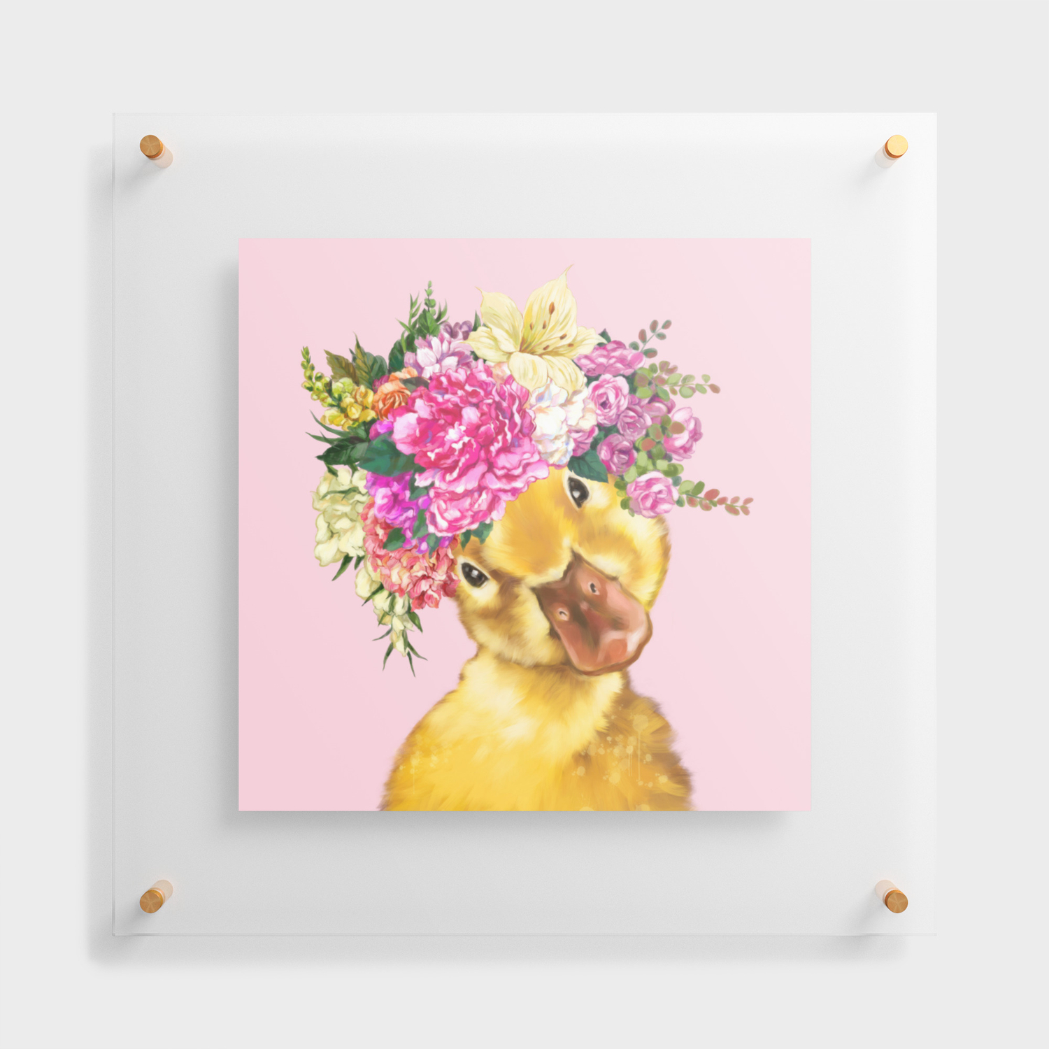 Pink Flower & Duck Frame 