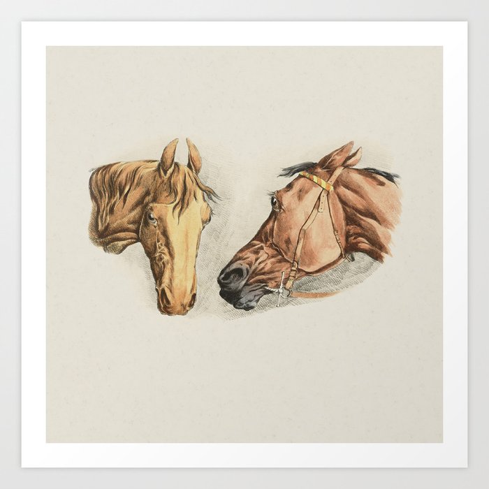 Horse Head Vintage Illustration Art Print