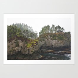 Washington Coast Pacific Ocean Northwest Islands Sea Stacks Seascape Landscape Forest Eagle Nautical Nature Art Print