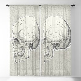 Old School Human Skull with Bones Names. Sheer Curtain